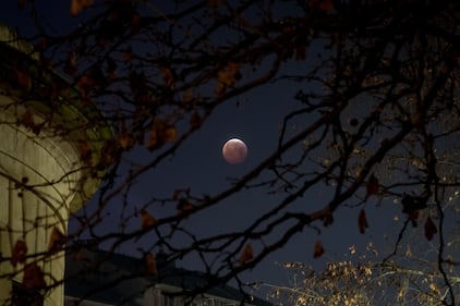 L'eclissi lunare tra i palazzi di Milano 3