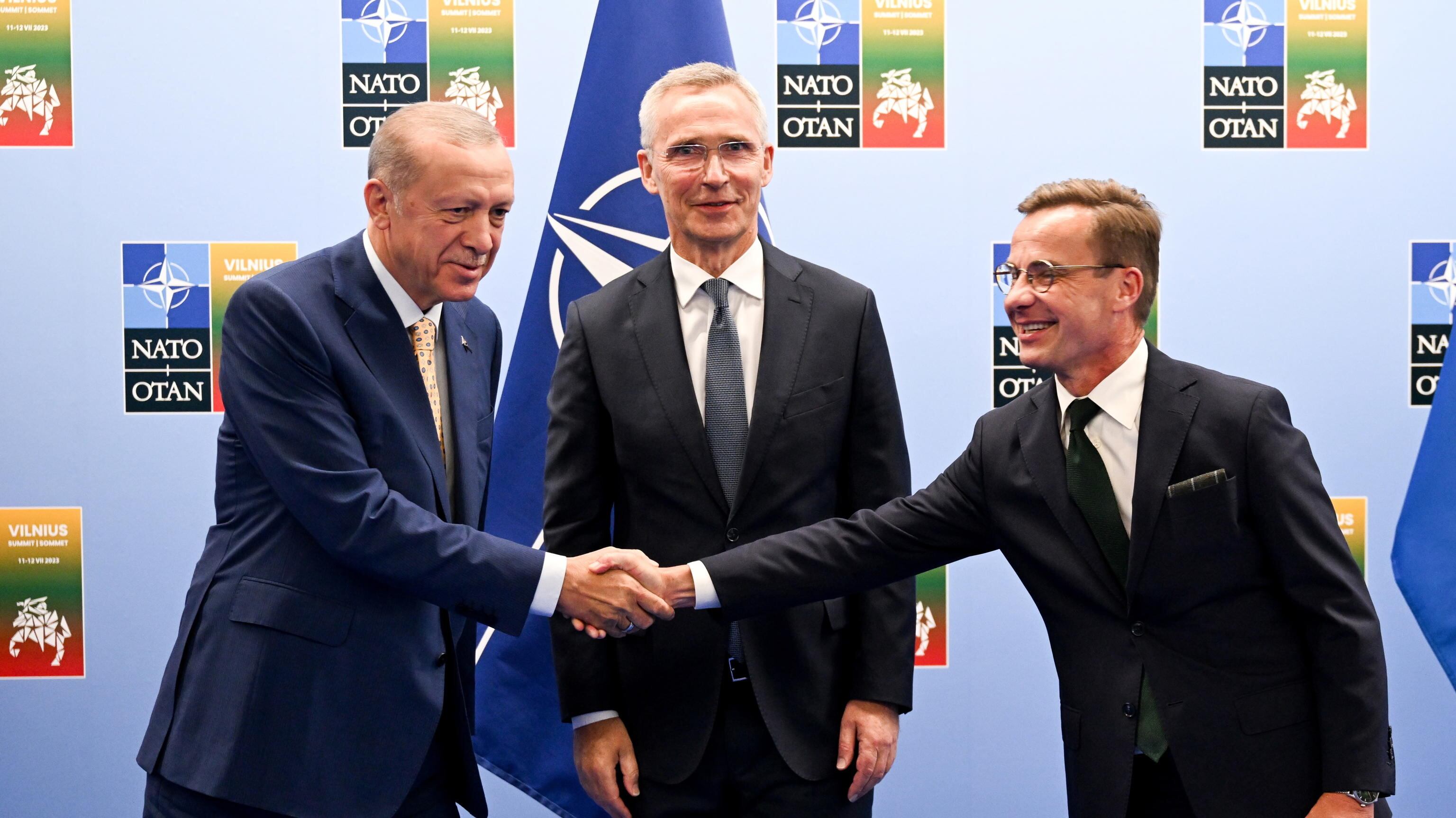 "Svezia presto nella Nato". Ecco perché Erdogan dà il via libera