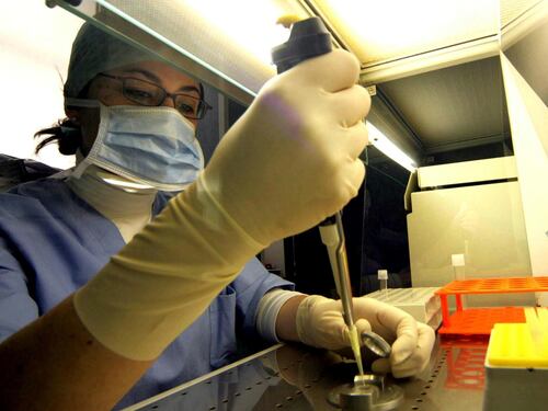 Nuova frontiera della fecondazione: ovociti e spermatozooi dalla pelle