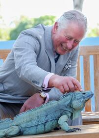 Il principe Carlo e Camilla in visita alle Isole Cayman 7
