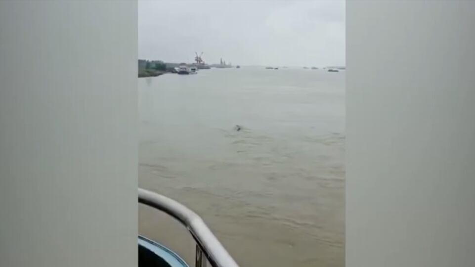Cina, avvistato "parente" del Mostro di Loch Ness