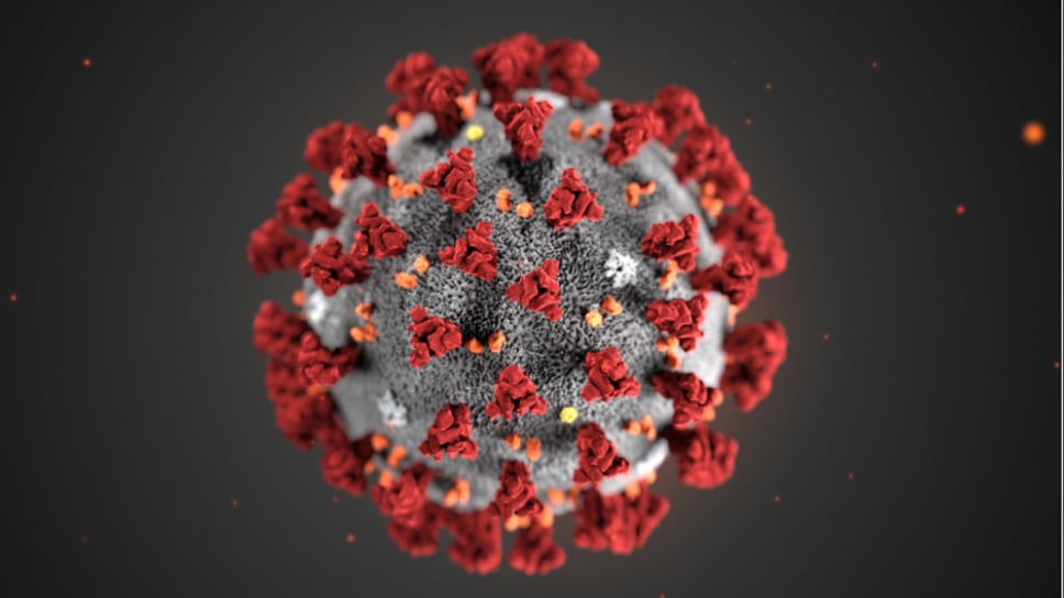 Lo Spallanzani isola il coronavirus "Si aprono spazi per cure"