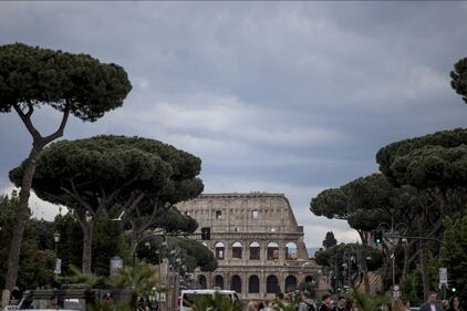Le meraviglie di Roma: i pini marittimi in città 10