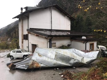 Belluno flagellata  3