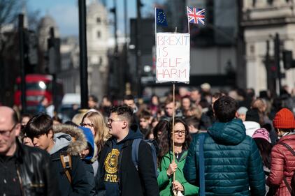Brexit: i manifestanti fuori il Parlamento inglese  7