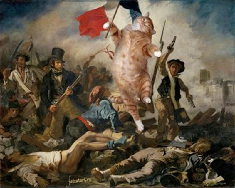 Vittorio Sgarbi invaso da immagini di gatti 9
