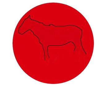 Cosa nasconde il cerchio rosso? 2