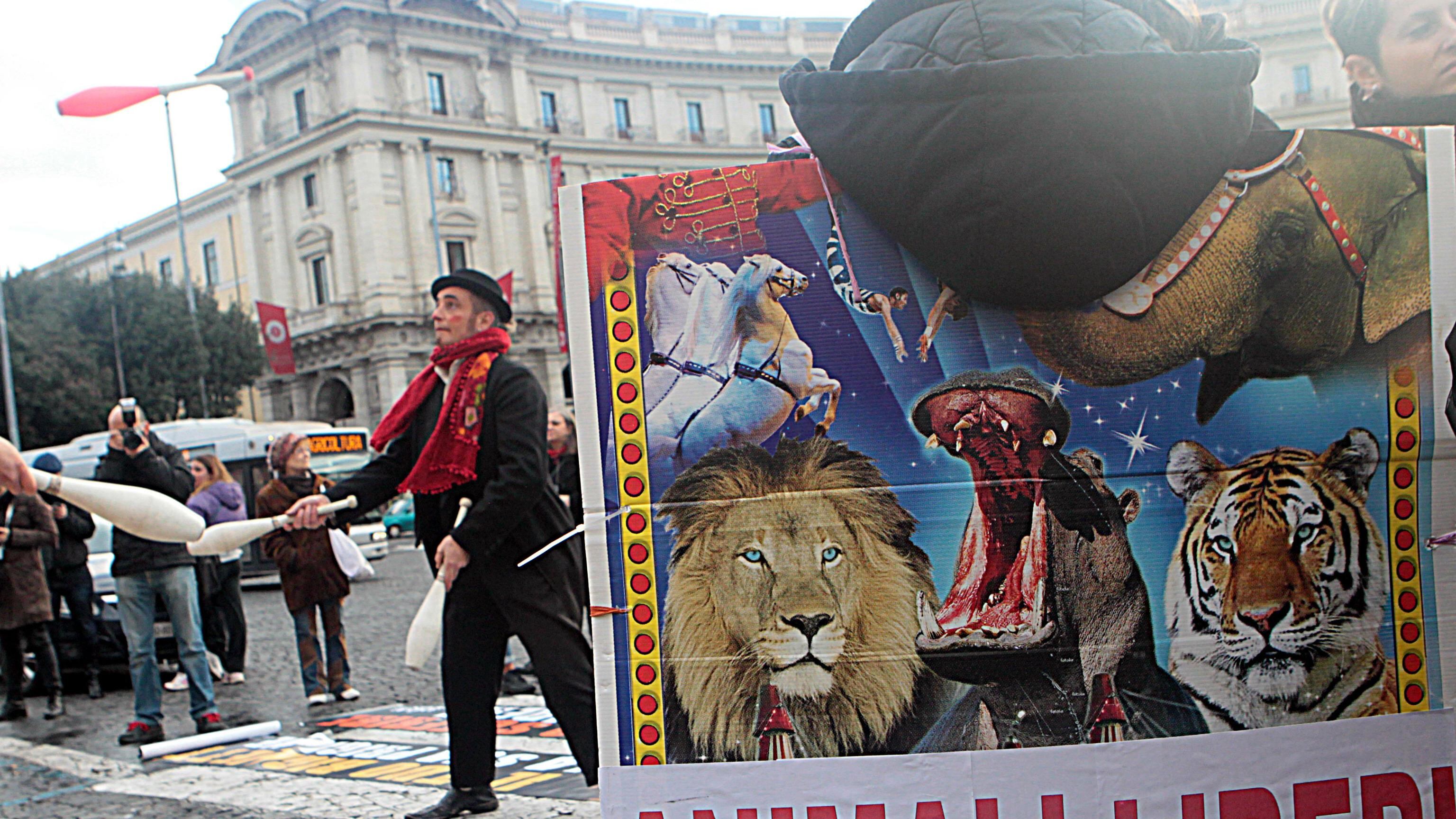 Un circo senza animali