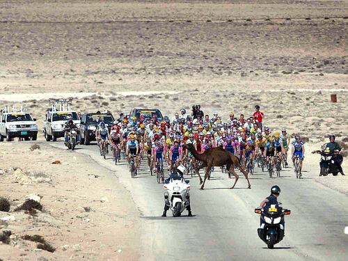 Mondiale, allarme Doha. I ciclisti hanno capito che nel deserto fa caldo