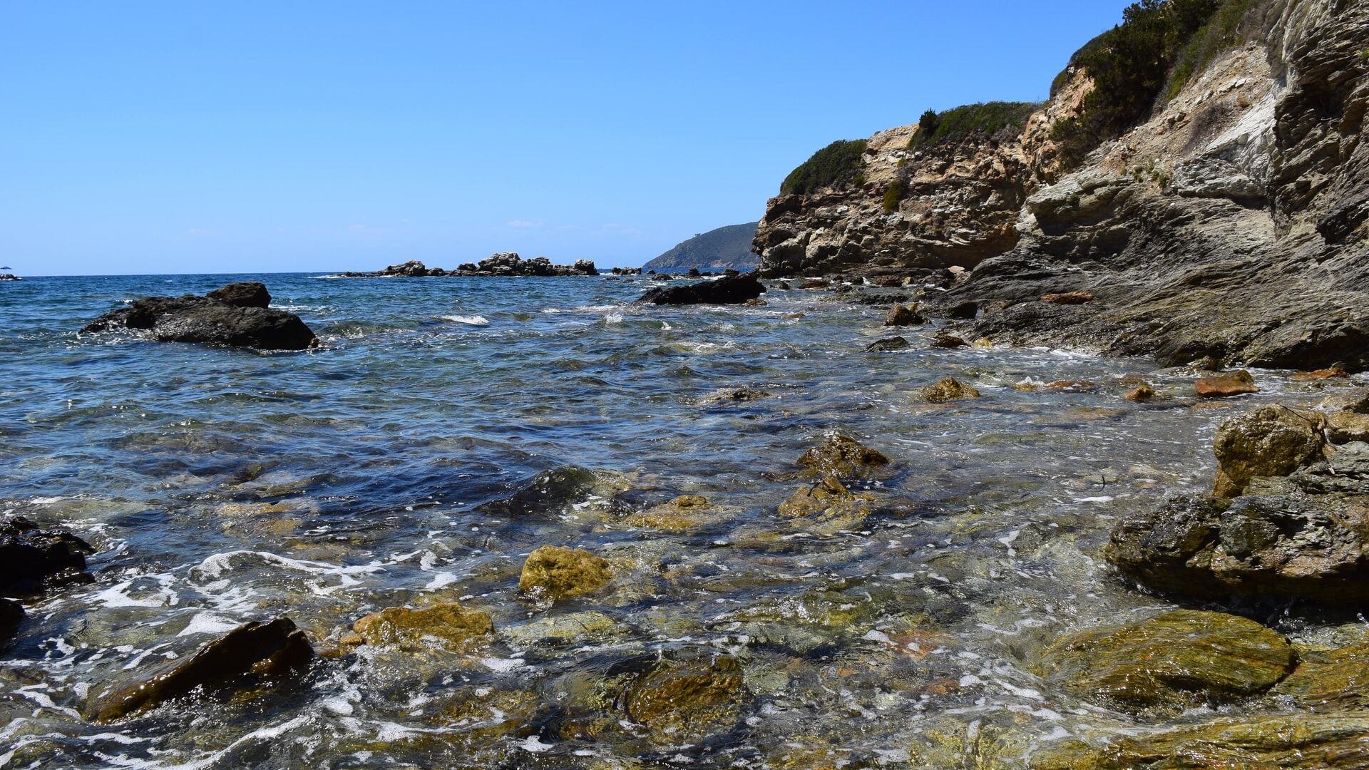 Scomparsa all'Elba la figlia del superpoliziotto Pippo Micalizio