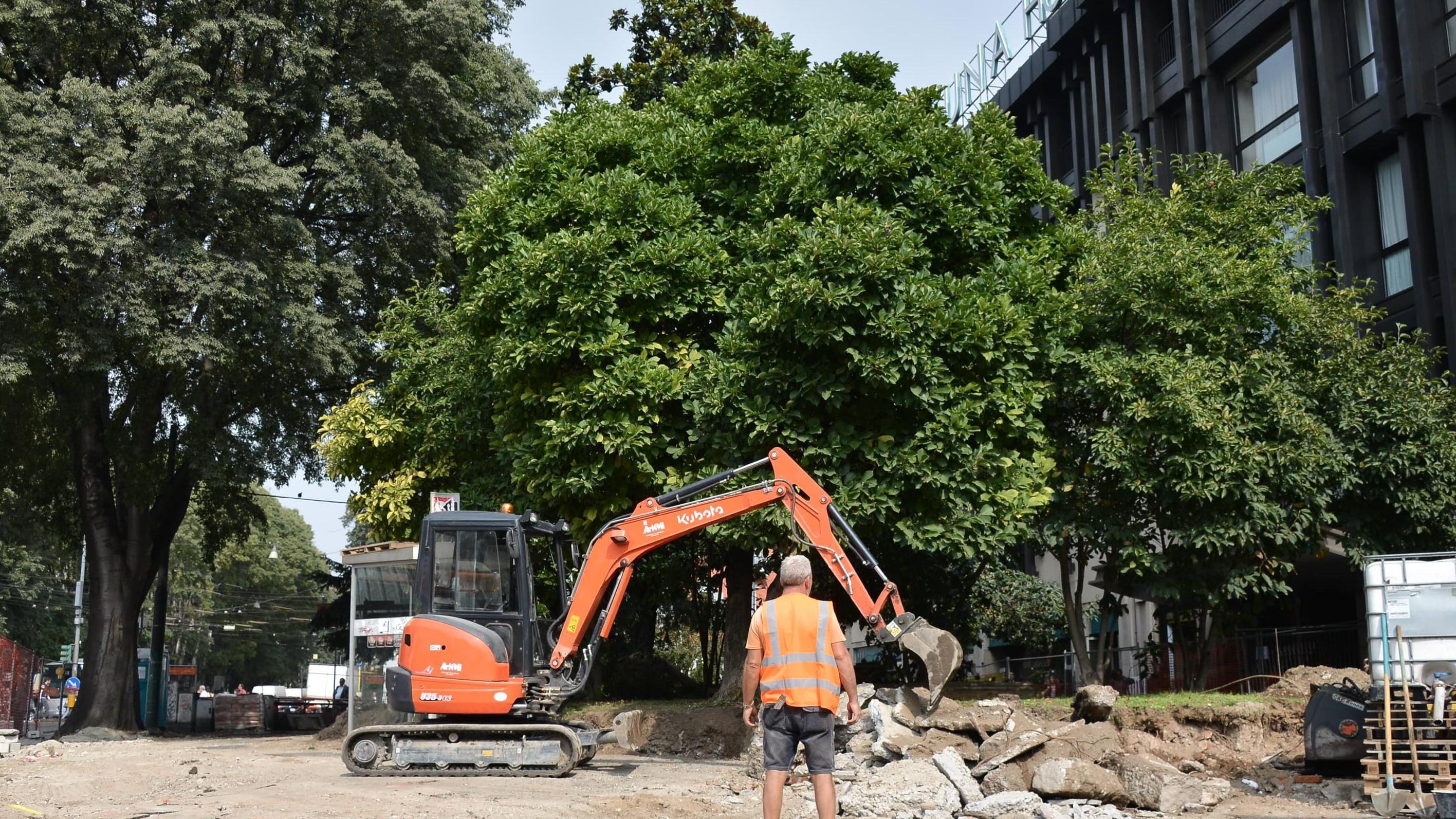 Tutti in strada per fermare il taglio degli alberi