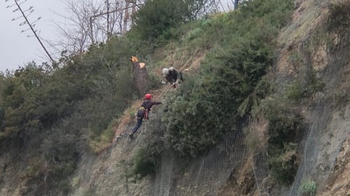 Crolla parete rocciosa su vecchia Aurelia, paura a Ventimiglia 7