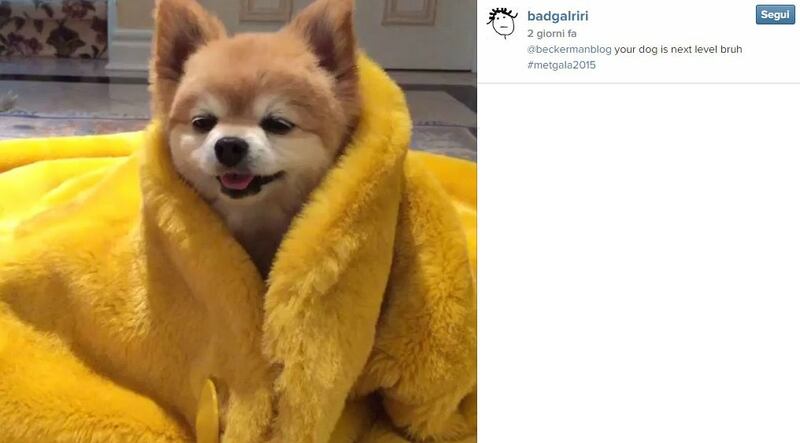 Rihanna: "il vestito del Met? L'ho trovato online" 2