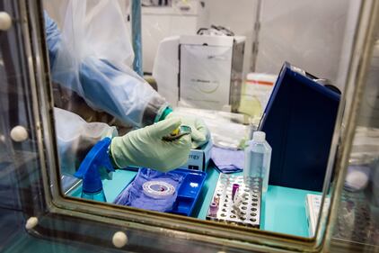 L'incubo ebola 6