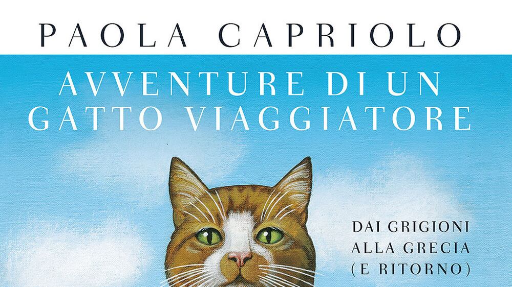 È il gatto il migliore amico degli scrittori