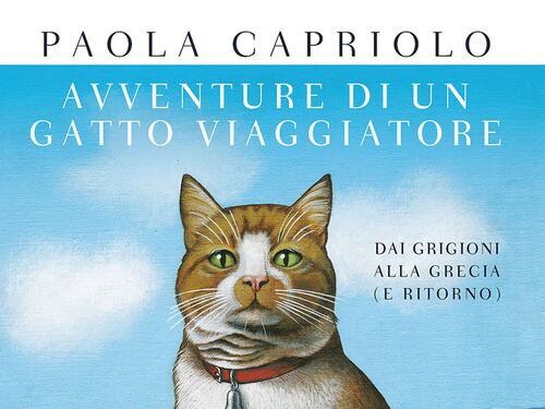 È il gatto il migliore amico degli scrittori