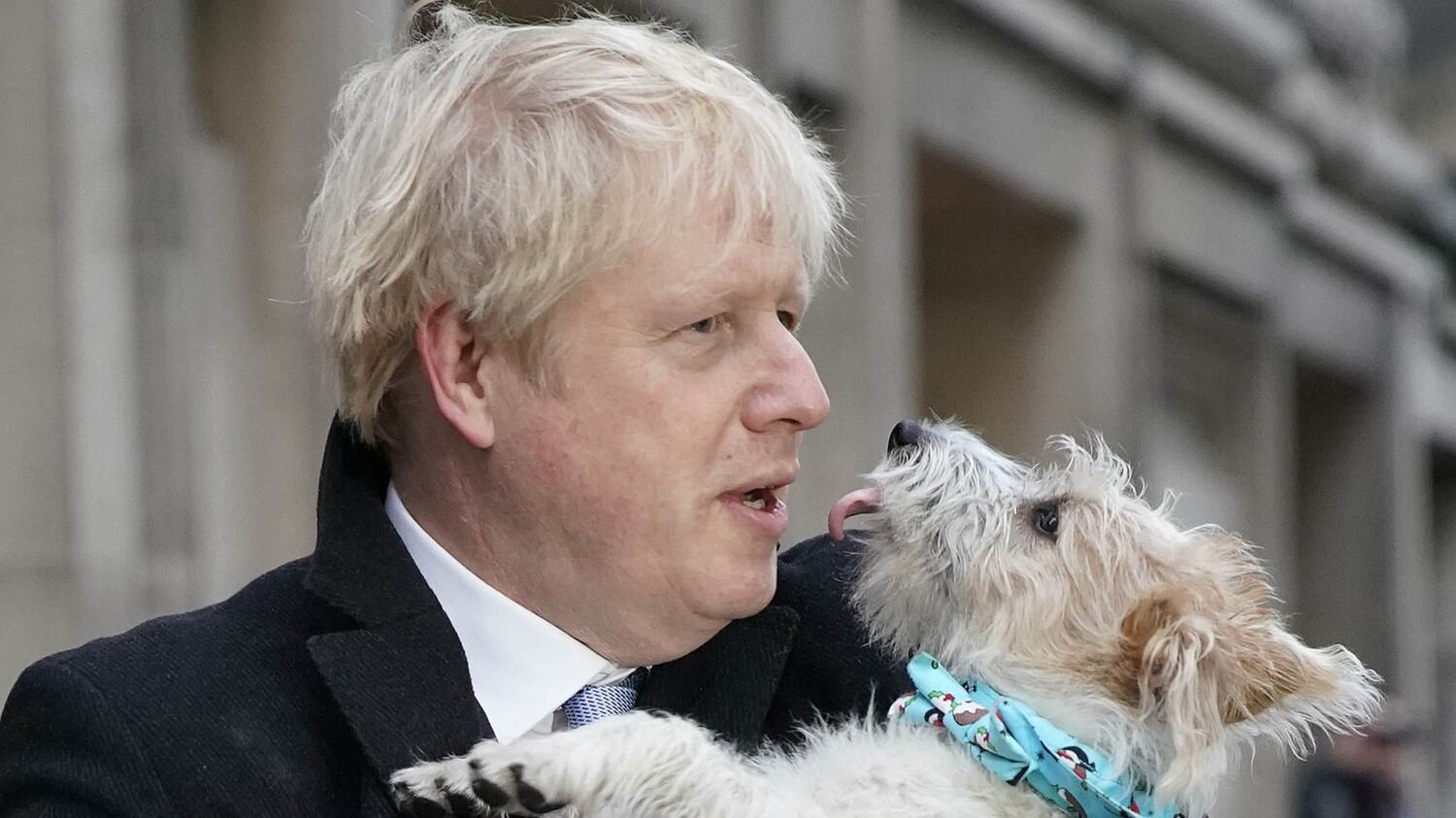 Johnson trionfa, Salvini: "Sconfitta la sinistra"