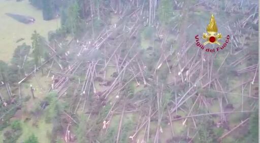 La strage dei boschi: il maltempo abbatte 14mila alberi 2