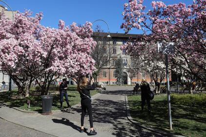 I giardini Renata Tibaldi in fiore a Milano  3