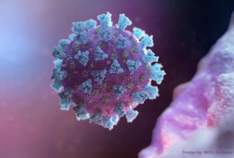 Immagine computerizzata di un Betacoronavirus