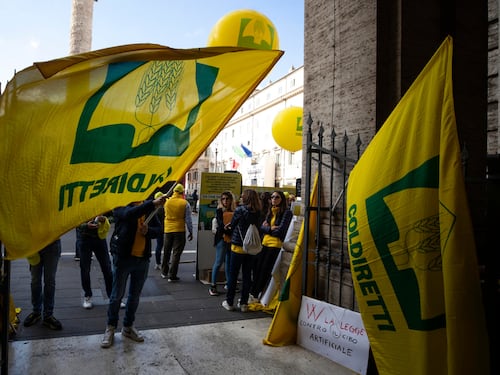 Guerra e rincari frenano la crescita del Pil. I costi agricoli mettono a rischio la ripresa