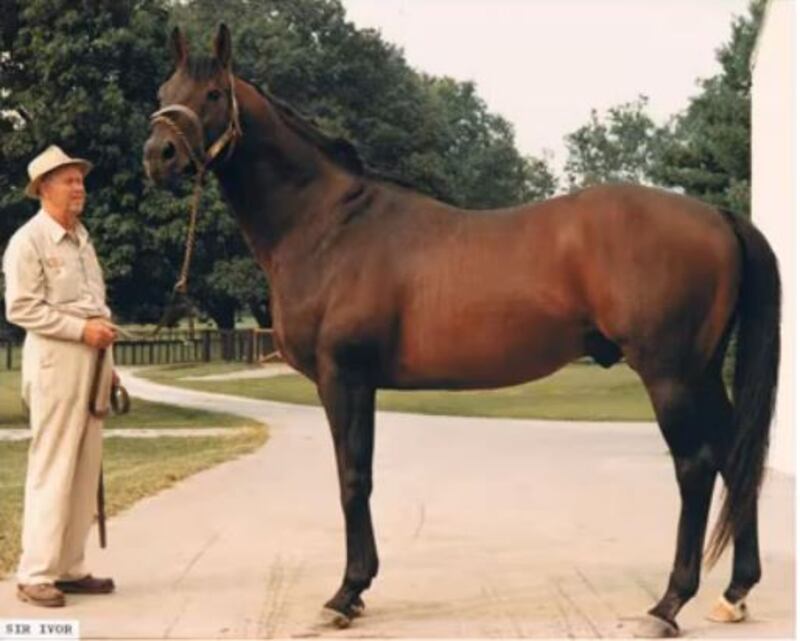 Sir Ivor (Youtube)