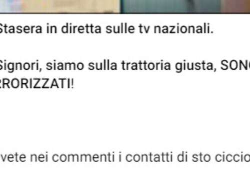 Le chat dei no vax, tra