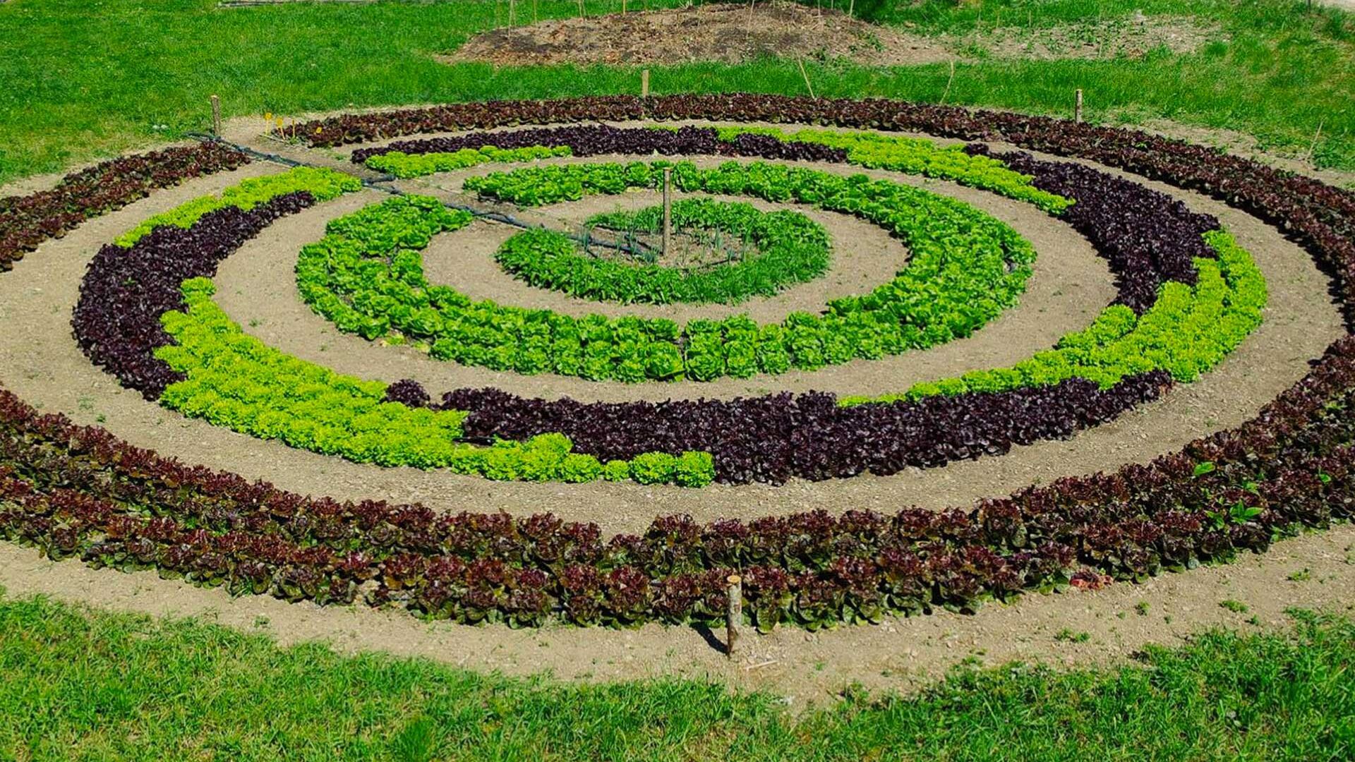 I giardini che curano: scopriamo cos'è un'oasi terapeutica
