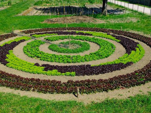 I giardini che curano: scopriamo cos'è un'oasi terapeutica