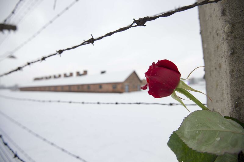 Sopravvissuti ad Auschwitz 3