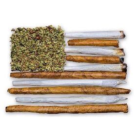 Un negozio di marijuana a Denver 9