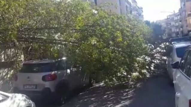 Neve e forti raffiche di vento, allerta nel Centro-Sud