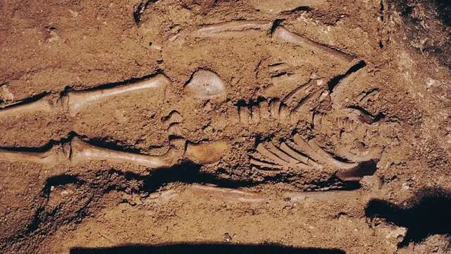 A Grotta delle Mura i resti del primo bambino vissuto in Italia 17mila anni fa