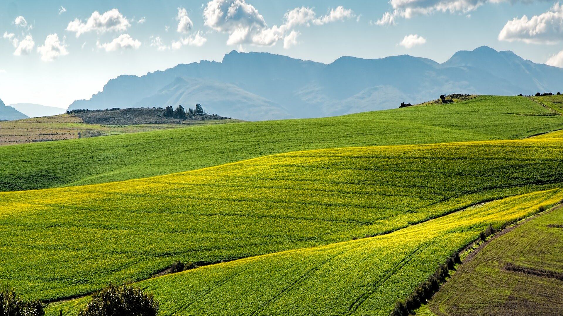 Il concime che cambierà (totalmente) l'agricoltura