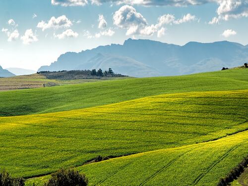 Il concime che cambierà (totalmente) l'agricoltura