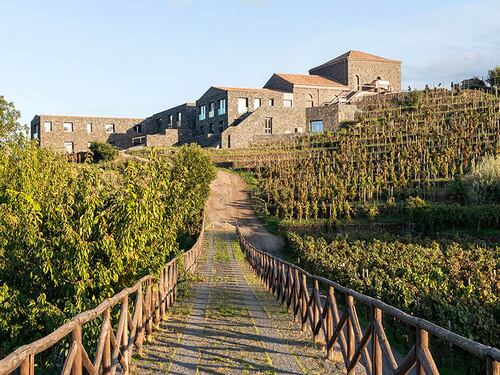 Palmento Costanzo, il vino della “Muntagna”