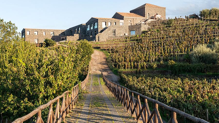 Palmento Costanzo, il vino della “Muntagna”