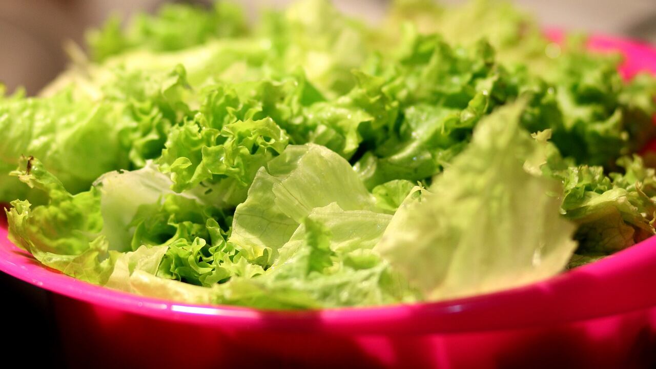 Allarme listeria in iceberg e lattughe: il ministero della Salute ritira numerosi lotti di ben 19 marchi
