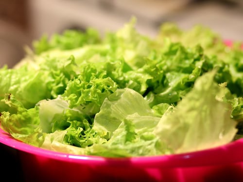 Allarme listeria in iceberg e lattughe: il ministero della Salute ritira numerosi lotti di ben 19 marchi