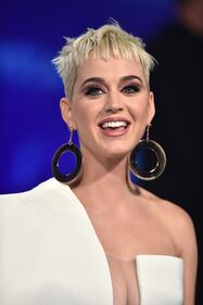 MTV VMA 2017, Katy Perry presentatrice sexy 7