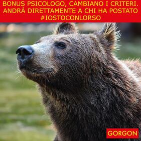 La satira del giorno. I nuovi criteri Bonus Psicologo 1