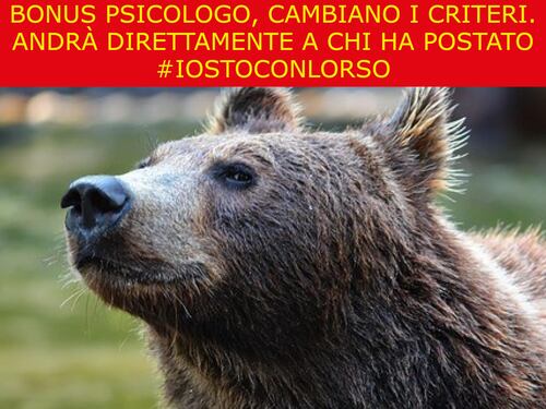 La satira del giorno. I nuovi criteri Bonus Psicologo