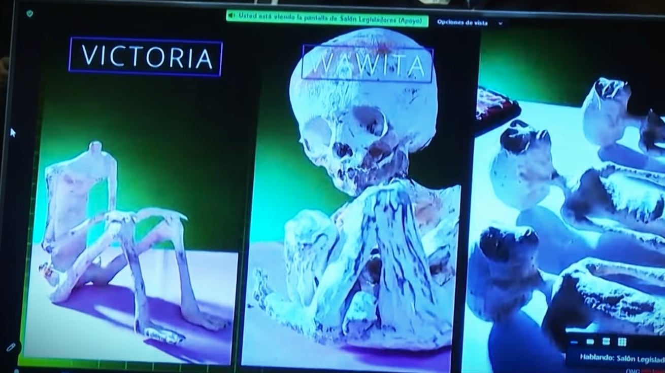 "Nuove prove di vita aliena": i risultati pubblicati al Congresso in Messico