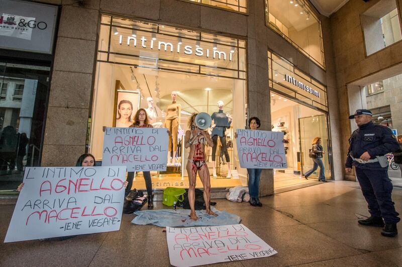 Iene Vegane protestano contro Intimissimi 4