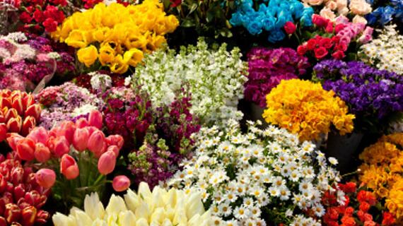 Fiera Milano è "verde": fiori, piante e parchi con Myplant & Garden