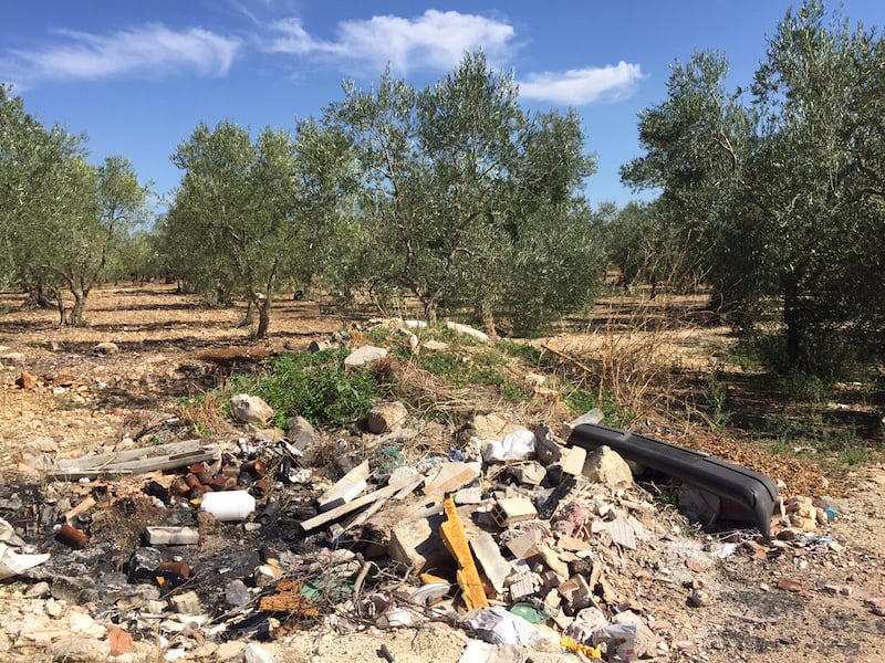 Bitonto e le campagne nel degrado 5