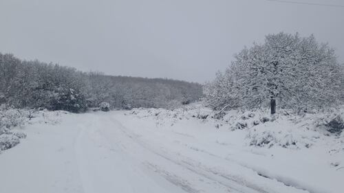 Freddo e neve, in Sardegna si stringe la morsa del gelo 10