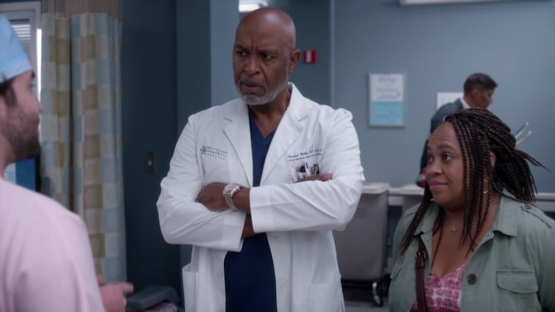 Greys-Anatomy-2