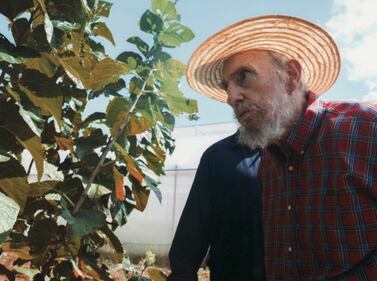 Fidel Castro? Non è morto 5