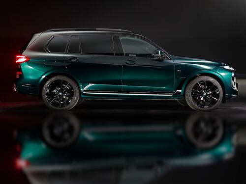 BMW X7 xDrive 40d, un'auto per il comfort degli amici a quattro zampe